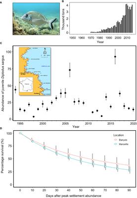 Examining current best-practices for the use of wild post-larvae capture, culture, and release for fisheries enhancement
